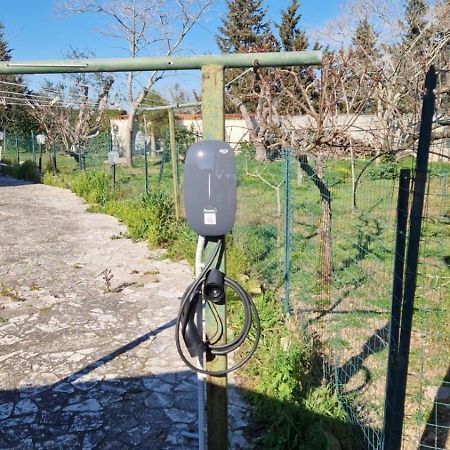 B&B Quattrostelle Cavallino di Lecce Kültér fotó